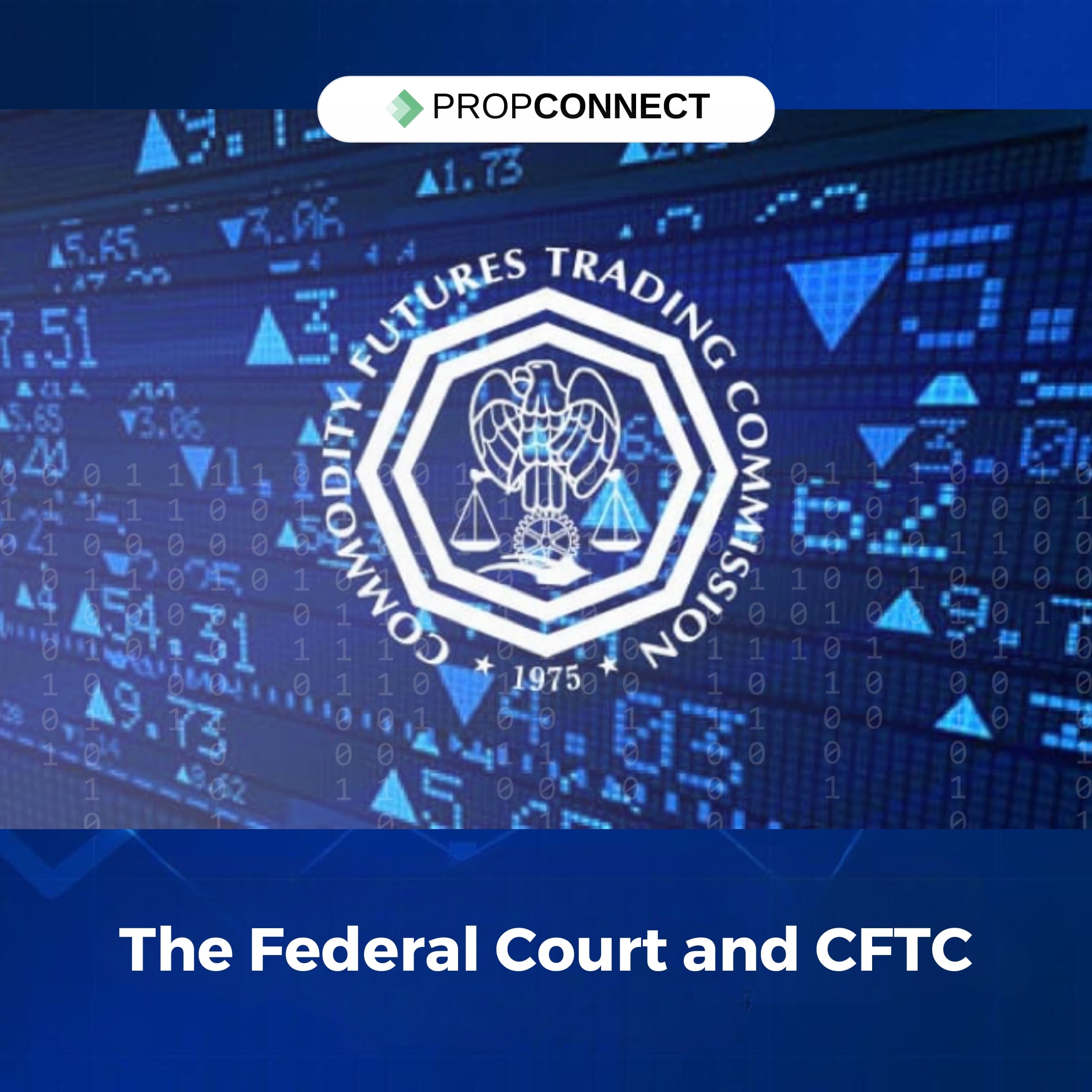 The Federal Court and CFTC