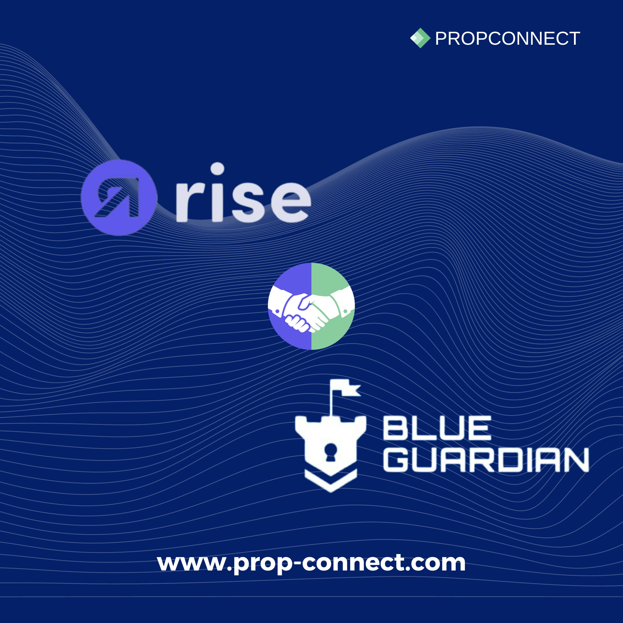 RiseWorks and Blue Guardian collaborate