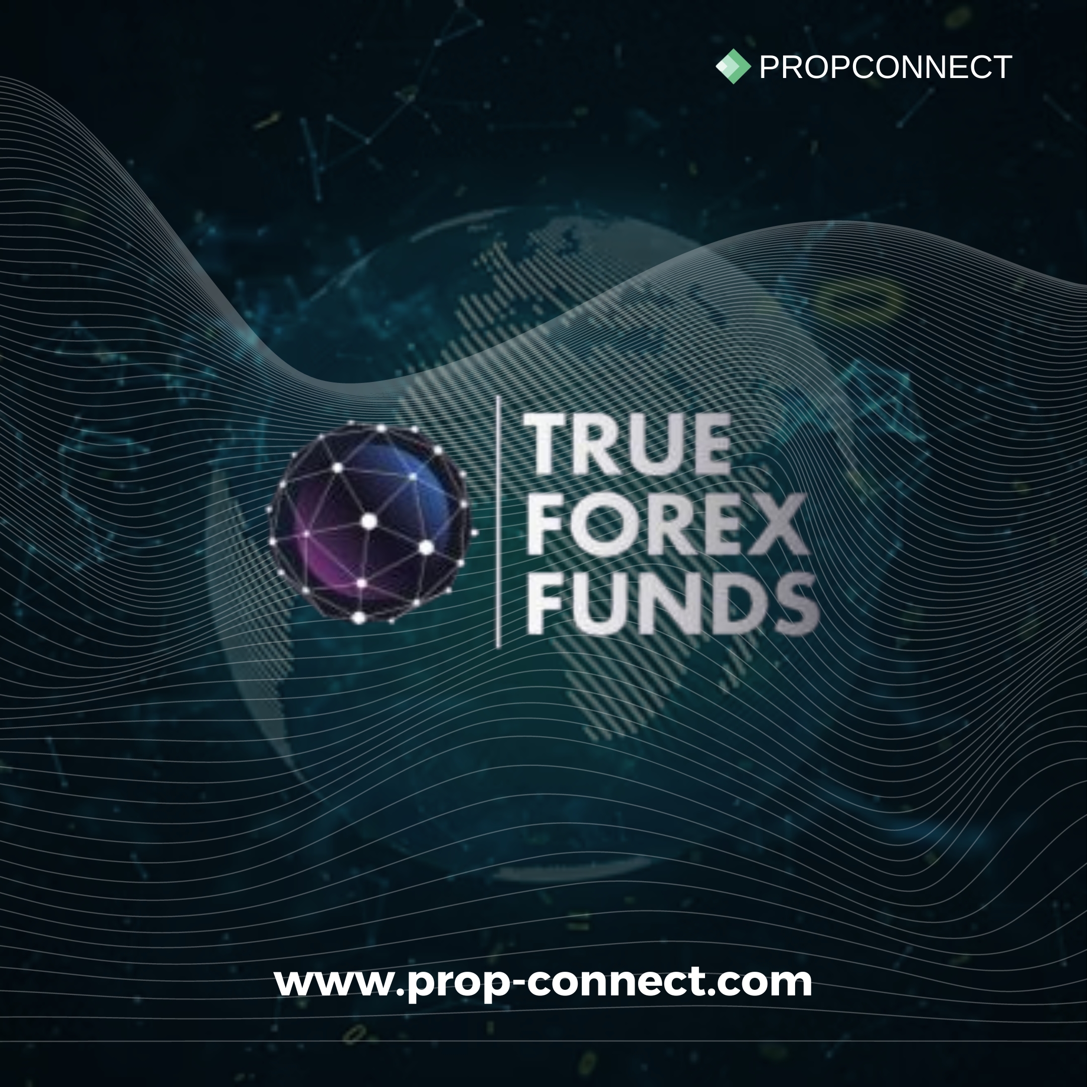 True Forex Funds Has Temporarily Frozen its Services