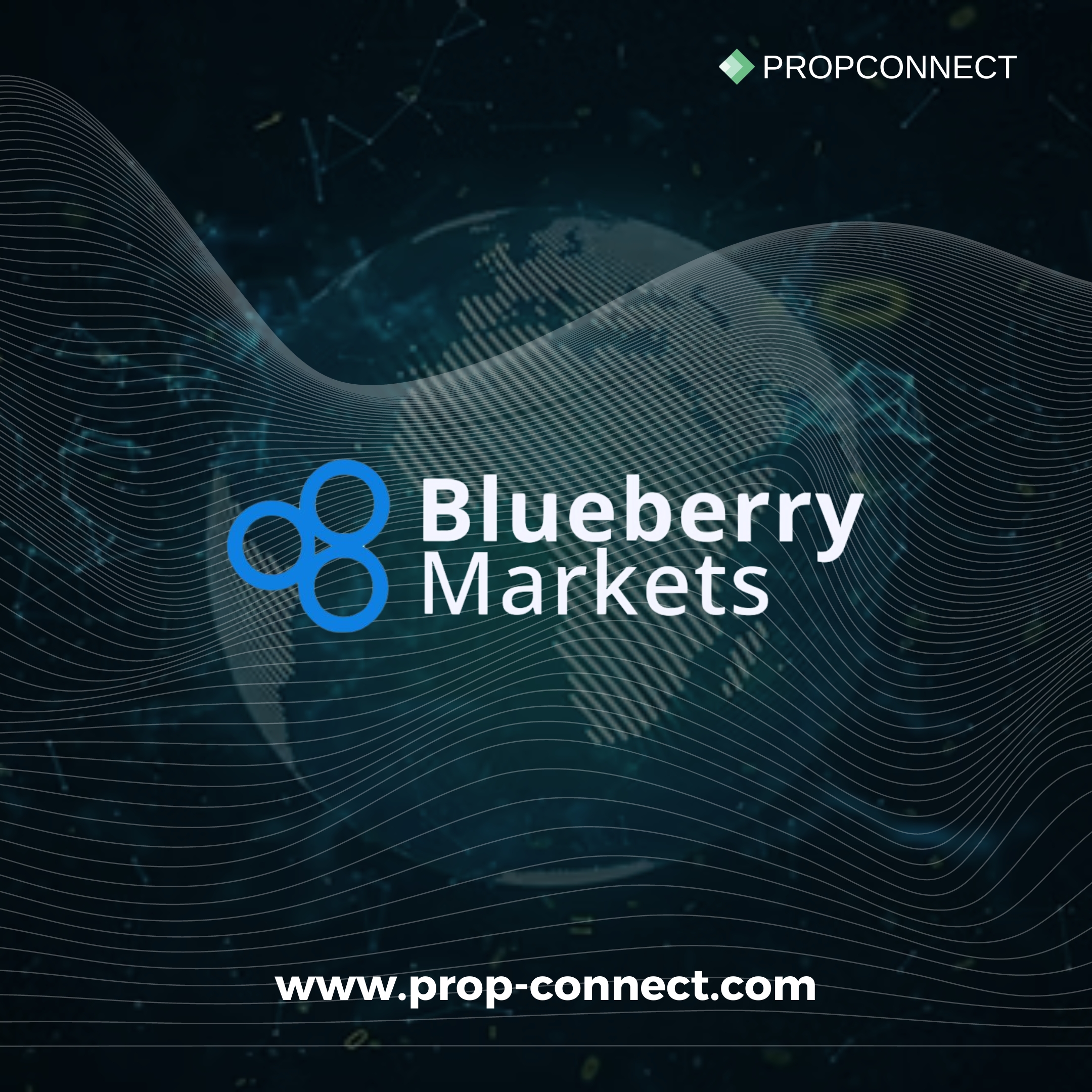 Prop Trade Firms Perplexed by Blueberry Markets' Suspension of MetaTrader Onboarding