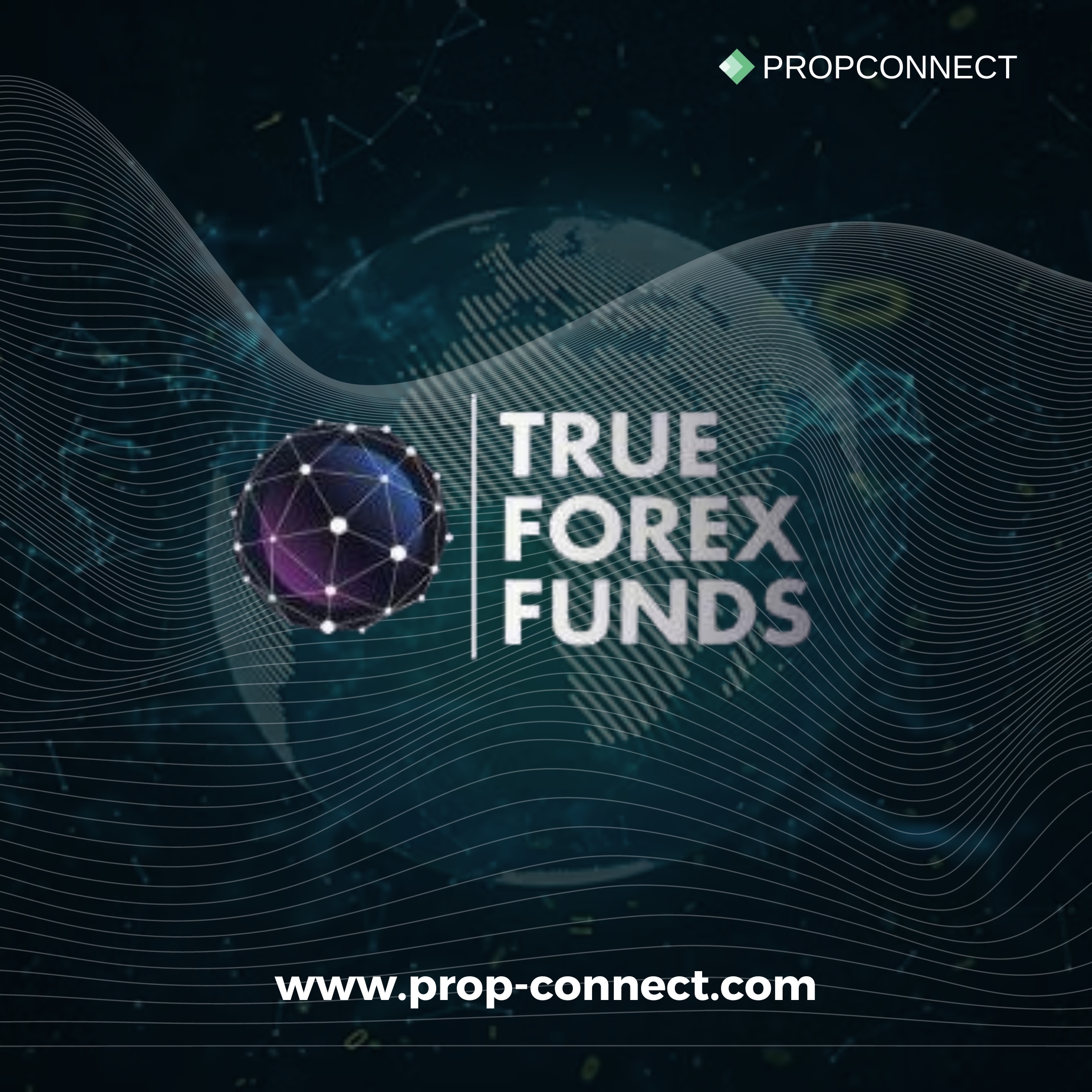 Amazing New Features Are Revealed by True Forex Funds